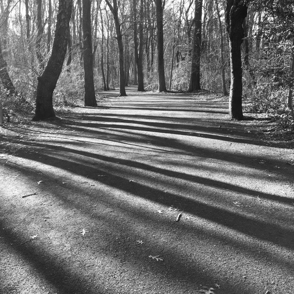 Meet your Posher, Nancy - Picture 2 of 2